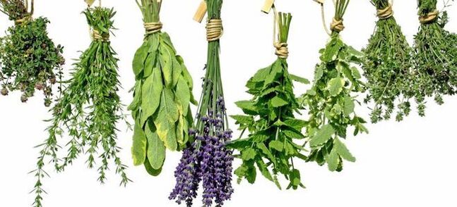 Herbs to increase male potency